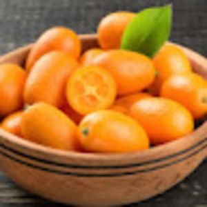 Meet your Posher, Riley